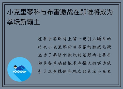 小克里琴科与布雷激战在即谁将成为拳坛新霸主